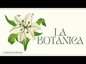 WHAT IS BOTANY? - BIOLOGY