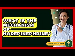 What Is The Mechanism Of Norepinephrine? - Pain Medicine Network