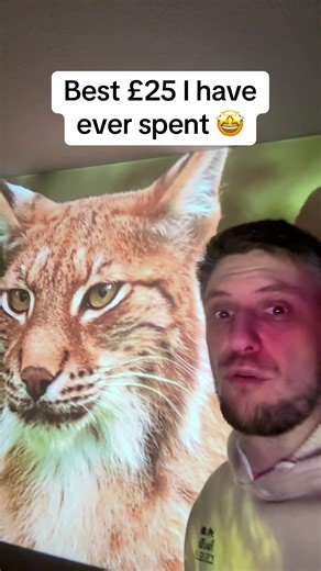 Transform Your Room into a Cinema Experience with This Projector!