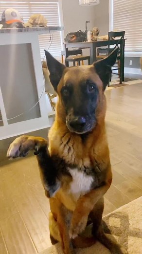 Is their anything he can’t do? #readySETgo #challenge