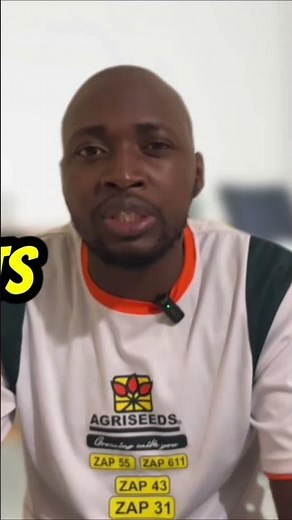 How to Build Proper Housing for Chickens (DIY Chicken Coop Guide)