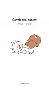 捉住呢對最可愛嘅情侶啦！💕 | LINE FRIENDS