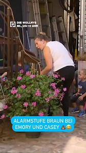 "Ich war es nicht!" 😅​💩​ Die neuen Folgen von​ "Die Wollnys - Eine schrecklich große Familie", immer mittwochs um 20:15 Uhr bei RTLZWEI und auf RTL . 📺 #diewollnys #rtlzwei #330 | Die Wollnys - Eine schrecklich große Familie