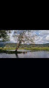 Disfrutando de la tranquilidad de La Laguna Redonda del Porvenir, ¿sabías que esta es una de 5 lagunas qué existe cerca de esta área?, anteriormente cuando la ex hacienda de Toxpan existía llevaba igual el nombre de San José de las Lagunas, por estos cuerpos de agua que se formaban en los pies de la Sierra del Gallego y que desde antes de colonizar esta zona ya existían, y siempre ha sido refugio de muchas especies, lamentablemente con el paso de los años la mayoría de ellas ha sufrido cambios d