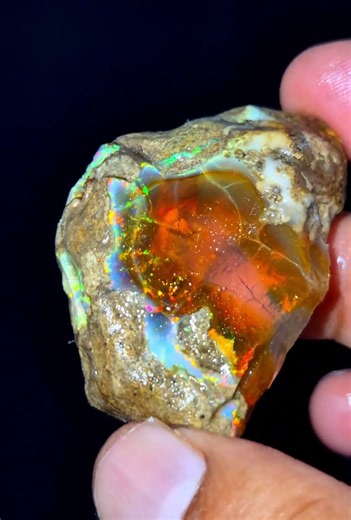 Rare Natural Black Opal 🌈 Stunning Confetti Fire | Red, Green & Gold Flash Rough