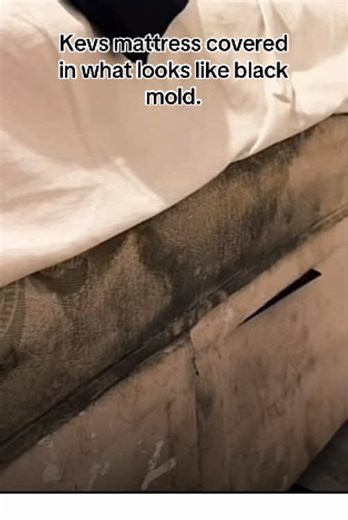 How to Clean Mold Off a Mattress Effectively
