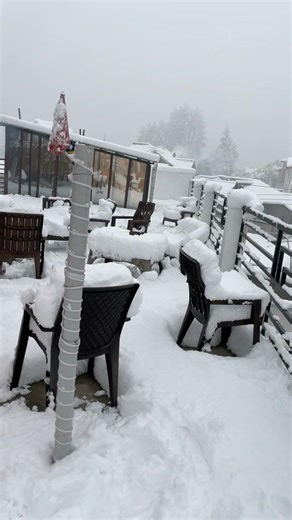 Beautiful Snowfall Video | Relaxing Winter Snowfall Scenery | Nature Vibes #trending #viralshorts