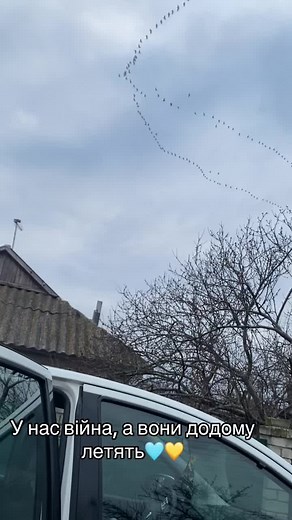 @baluta_v на TikTok