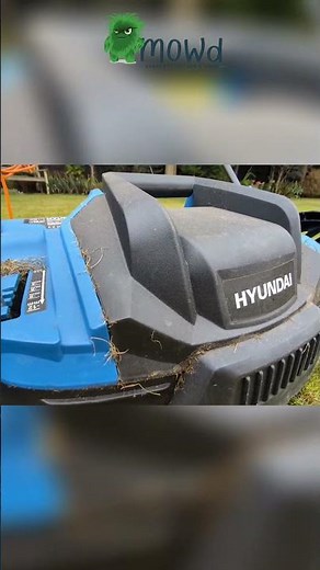 Unlock Perfect Lawns - The Power of Scarification