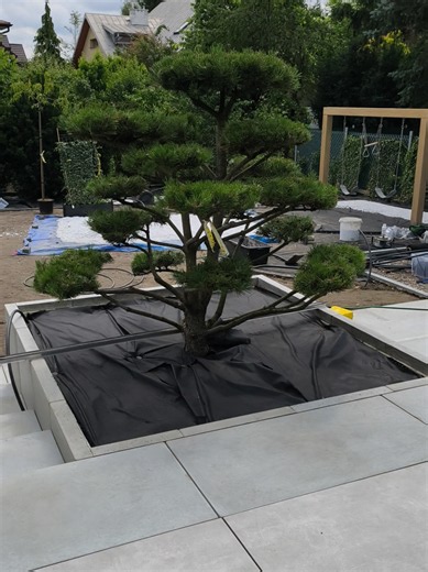 Smart Garden: Call 576 985 015 to Learn More