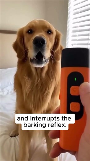 The Ultrasonic Device That Stopped My Dog's Barking #DogTraining #PetSolutions #Shorts