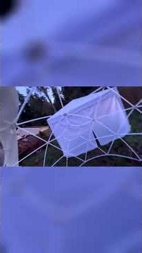 I Built a See-Through Dome in My Backyard!