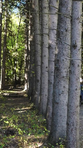 Every adventure needs a little off-road authority with the lifted Silverado ZR2. | Chevrolet