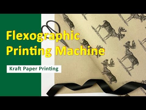 Paper Flexo Printing Machine For Roll to Roll Printing Paper Use For Food Packaging Industry