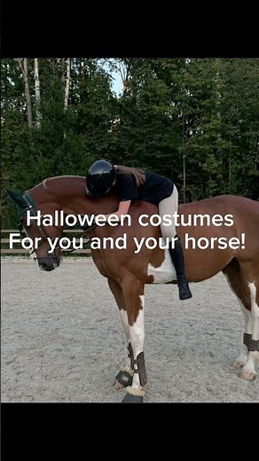 Halloween costume ideas for your horse! #halloween #equestrian #edit #reels #yourhorse #4urpage
