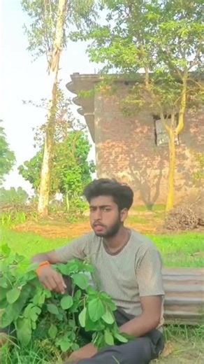 #bhojpuri sad song #musicgenre #lifeisbutadream #haveitoldyoulatelythatiloveyou #musicsong #comedy