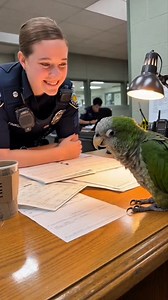 21K views · 1.6K reactions | Parrot fears being forgotten 列 #TalkingParrot #PoliceStationReel #StopScrolling #EmotionalMoment #RealVoice #SupportCreators #LikeFollowShare #FacebookReels | Smile of Prosperity | Facebook