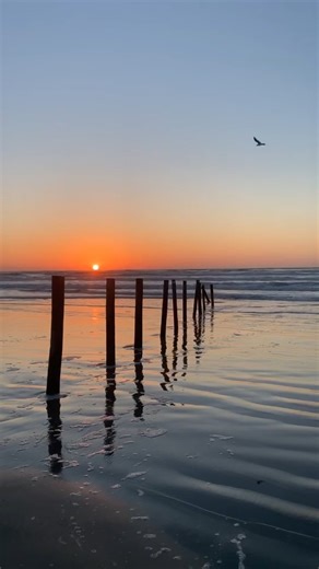 Chillin' by the waves 😎 Where’s your go-to beach on the #TexasCoast? Discover top spots for swimming, fishing, camping, and more in the Texas Parks & Wildlife Magazine Beach Guide. #BetterOutside | Texas Parks and Wildlife