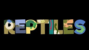 Describing Vertebrates Through Music and Emojis