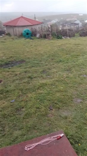 Shares Peter on Reels