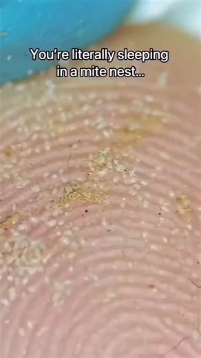 Tech Life Nest on Instagram: "The Power of Early Discounts on New Listings New Amazon listings often launch with a temporary discount to create momentum. Psychologically, buyers interpret early discounts as a sign that the seller is confident in the product. “If they’re launching with a deal, it must be good,” many customers think. This effect is amplified when combined with positive early reviews or influencer mentions. The discount creates the illusion of getting ahead of others, giving buyers