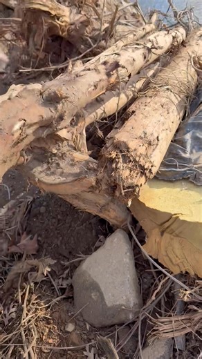 Cajun Navy 2016 on Reels