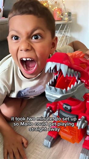 Teamsterz Mega Beast B