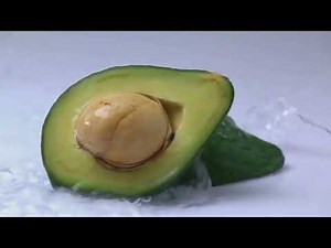 Master the Art of Indoor Avocado Tree Pruning