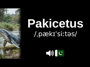 How to pronounce Pakicetus (CORRECTLY!)