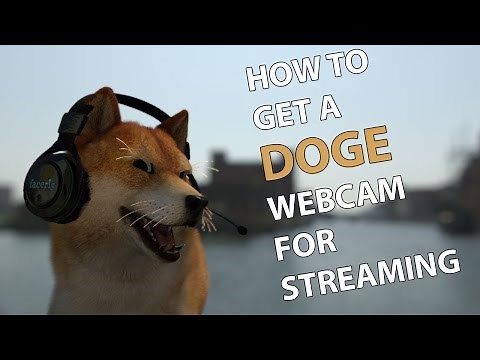 How to Get A Doge Webcam for Streaming
