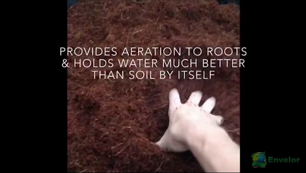 Coco Coir for Plants 2-Pack – 2.6 Cu. Ft. Compressed Coconut Coir Bricks, 10 lb. Organic, Low EC, pH Balanced Coco Peat for Indoor & Outdoor Gardening, Potting Soil, Indoor Plant Soil