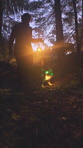 Valotuotteilla vastaantuleva auto tai toinen koirakko näkee teidät jo kaukaa! ✨ | PetenKoiratarvike.com
