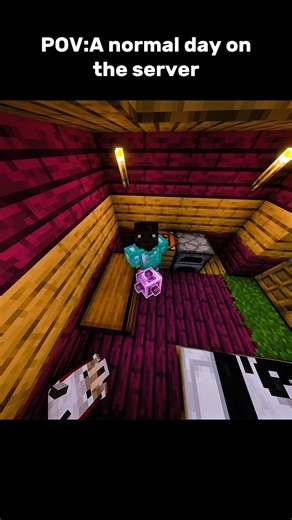Minecraft POV: A normal day on the server