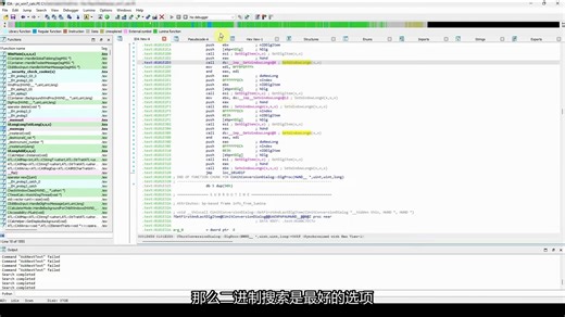 IDAPRO9.1官方教学视频简体中文语音字幕版_IDA03_搜索