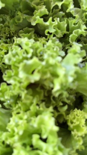 Delicious Overload Sandwiches Preparation