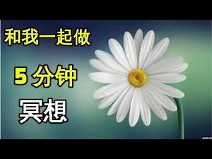 和我一起做 5 分钟冥想 让大脑清晰 心灵放松 5 mins meditation 身心健康