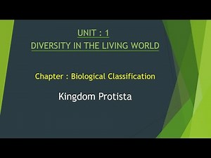 Kingdom Protista | Class 11 Biology | Full Concept with Types & Examples