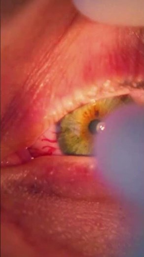 Creían que estaba muerta… pero sigue viva 😱 | CSI: Miami | AXN Latinoamérica