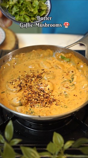 Harshita Aggarwal | Masterchef IND S6 on Instagram: "🍄Mushrooms are in season make it today ! Creamy butter Garlic mushroom 🍄 - 1 tbsp oil + 1 tbsp butter - 1 tbsp garlic, finely chopped - 1 onion, finely chopped - button mushrooms - Palak leaves chopped - 1 tbsp chilli flakes - 1 tbsp red chilli powder - Chilli flakes ( opt ) - 1 tsp salt - 1 tbsp tomato ketchup - Small bunch of spinach, chopped - 1/2 cup fresh cream #mushroom #mushrooms #easyrecipes #quickmeals #food #onepotmeal Do you love 