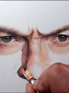 Wolverine coloured pencil art brought to life
