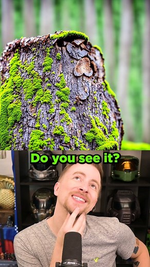 Can you find the hidden picture in this AI image? FOLLOW ME FOR MORE 🤖 @GREENSKULL @GREENSKULL @GREENSKULL ---- #hiddenpicture #ai #artificialintelligence #cool #reel #reels | Greenskull