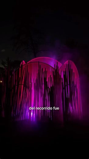 Light Cycles Experience on Instagram: "¿Cuál fue tu parte favorita de tu experiencia en Light Cycles? Cada testimonio revela cómo #LightCyclesExperience transforma tu conexión con la naturaleza en un momento inolvidable de luz y música. 🎟️ Vive tu propia experiencia en Santiago y deja que tus sentidos se despierten con luz, musica y arte digital."