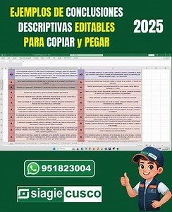 Ejemplos de CONCLUSIONES DESCRIPTIVAS 2025 para Copiar y Pegar al Siagie | Siagie Cusco
