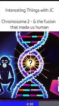 The Fusion of Chromosome 2 #science #biology #genetics #interestingthings #podcast