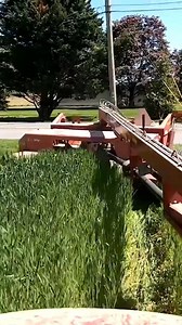 Triticale Harvest & Silo Filling #reels #farming #silofilling #dairyfarming #dairyfarm #harvesting | The 10th Generation Dairyman