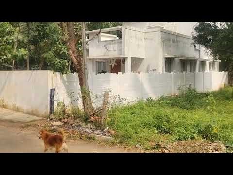 PER SQ.FT 900 AREA 2915 RESIDENTIAL PLOT SALE THANJAVUR DISTRICT IN PATTUKOTTAI IN ANAKADU