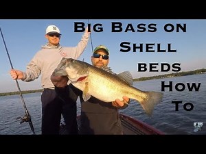 Lake Fork Bass Fishing: Shell Bed Tips