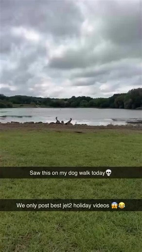 Jet 2 Holidays Daily on Instagram: "Day 32 of posting Jet 2 holiday daily . . #jet2memes #jet2holidays #foryourpage #trendingreels #jet2 #explore #fyp #explorepage #ᴛʀᴇɴᴅɪɴɢʀᴇᴇʟ . . (Jet 2 holiday , jet 2 memes , darling hold my hand , 50 pound per person , family of 4)"