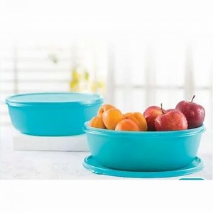 Tupperware Bowl Container
