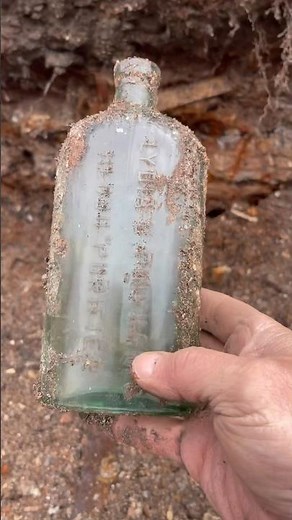 RARE Bottles Found! Bottle Digging Relic Hunting Mudlarking Treasure Hunt Privy Dig Metal Detecting